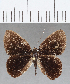  ( - CFC14323)  @11 [ ] Copyright (2019) Christer Fahraeus Center For Collection-Based Research
