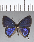  ( - CFC14326)  @11 [ ] Copyright (2018) Christer Fahraeus Center For Collection-Based Research