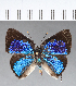  ( - CFC14332)  @11 [ ] Copyright (2018) Christer Fahraeus Center For Collection-Based Research