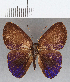  ( - CFC14520)  @11 [ ] Copyright (2019) Christer Fahraeus Center For Collection-Based Research