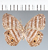  ( - CFC14617)  @11 [ ] copyright (2022) Center For Collection-Based Research Center For Collection-Based Research
