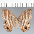  ( - CFC14626)  @11 [ ] copyright (2022) Center For Collection-Based Research Center For Collection-Based Research