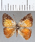  ( - CFC15030)  @11 [ ] Copyright (2019) Christer Fahraeus Center For Collection-Based Research
