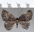  ( - CFC15035)  @11 [ ] Copyright (2019) Christer Fahraeus Center For Collection-Based Research