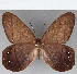  ( - CFC15092)  @11 [ ] Copyright (2019) Christer Fahraeus Center For Collection-Based Research
