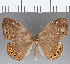  ( - CFC15247)  @11 [ ] Copyright (2019) Christer Fahraeus Center For Collection-Based Research