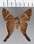  ( - CFC15270)  @11 [ ] Copyright (2018) Christer Fahraeus Center For Collection-Based Research