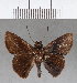  ( - CFC15730)  @13 [ ] Copyright (2018) Christer Fahraeus Center For Collection-Based Research