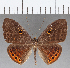  ( - CFC15738)  @11 [ ] Copyright (2019) Christer Fahraeus Center For Collection-Based Research