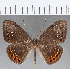  ( - CFC15742)  @11 [ ] Copyright (2019) Christer Fahraeus Center For Collection-Based Research