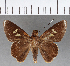  ( - CFC15767)  @13 [ ] Copyright (2018) Christer Fahraeus Center For Collection-Based Research