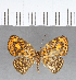  ( - CFC15801)  @11 [ ] Copyright (2018) Christer Fahraeus Center For Collection-Based Research