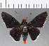  ( - CFC15896)  @11 [ ] Copyright (2019) Christer Fahraeus Center For Collection-Based Research