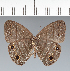  ( - CFC15938)  @11 [ ] copyright (2022) Center For Collection-Based Research Center For Collection-Based Research