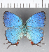  ( - CFC15944_2)  @11 [ ] Copyright (2019) Christer Fahraeus Center For Collection-Based Research