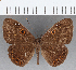  ( - CFC15949)  @11 [ ] Copyright (2019) Christer Fahraeus Center For Collection-Based Research