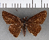  ( - CFC15992)  @11 [ ] Copyright (2018) Christer Fahraeus Center For Collection-Based Research