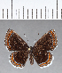  ( - CFC16014)  @11 [ ] Copyright (2018) Christer Fahraeus Center For Collection-Based Research
