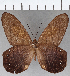  ( - CFC16246)  @11 [ ] Copyright (2019) Christer Fahraeus Center For Collection-Based Research