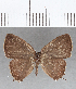  ( - CFC16503)  @11 [ ] Copyright (2019) Christer Fahraeus Center For Collection-Based Research