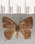  ( - CFC16519)  @11 [ ] Copyright (2019) Christer Fahraeus Center For Collection-Based Research