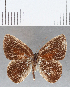  ( - CFC16526)  @11 [ ] Copyright (2019) Christer Fahraeus Center For Collection-Based Research