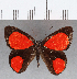  ( - CFC16553)  @11 [ ] Copyright (2019) Christer Fahraeus Center For Collection-Based Research