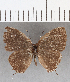  ( - CFC16605)  @11 [ ] Copyright (2019) Christer Fahraeus Center For Collection-Based Research