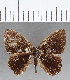  ( - CFC16606)  @11 [ ] Copyright (2019) Christer Fahraeus Center For Collection-Based Research