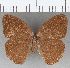  ( - CFC16739)  @11 [ ] copyright (2020) Christer Fahraeus Center For Collection-Based Research