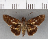  ( - CFC16764)  @11 [ ] Copyright (2018) Christer Fahraeus Center For Collection-Based Research