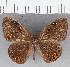  ( - CFC16769)  @11 [ ] Copyright (2019) Christer Fahraeus Center For Collection-Based Research