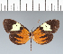  ( - CFC16854)  @11 [ ] copyright (2022) Center For Collection-Based Research Center For Collection-Based Research