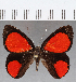  ( - CFC16921)  @11 [ ] Copyright (2019) Christer Fahraeus Center For Collection-Based Research