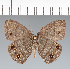  ( - CFC16946)  @11 [ ] copyright (2022) Center For Collection-Based Research Center For Collection-Based Research