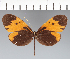  ( - CFC17000)  @11 [ ] copyright (2022) Center For Collection-Based Research Center For Collection-Based Research