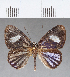  ( - CFC17047)  @11 [ ] Copyright (2018) Christer Fahraeus Center For Collection-Based Research