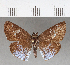  ( - CFC17125)  @11 [ ] Copyright (2018) Christer Fahraeus Center For Collection-Based Research