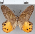  ( - CFC17271)  @11 [ ] Copyright (2019) Christer Fahraeus Center For Collection-Based Research