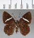  ( - CFC17443)  @13 [ ] Copyright (2018) Christer Fahraeus Center For Collection-Based Research