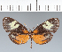  ( - CFC17471)  @11 [ ] copyright (2022) Center For Collection-Based Research Center For Collection-Based Research