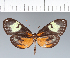  ( - CFC17473)  @11 [ ] copyright (2022) Center For Collection-Based Research Center For Collection-Based Research