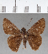  ( - CFC17564)  @11 [ ] Copyright (2018) Christer Fahraeus Center For Collection-Based Research