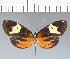  ( - CFC17642)  @11 [ ] copyright (2022) Center For Collection-Based Research Center For Collection-Based Research