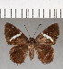 ( - CFC01767)  @13 [ ] Copyright (2018) Christer Fahraeus Center For Collection-Based Research