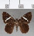  ( - CFC01772)  @13 [ ] Copyright (2018) Christer Fahraeus Center For Collection-Based Research