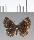  ( - CFC18138)  @11 [ ] Copyright (2018) Christer Fahraeus Center For Collection-Based Research