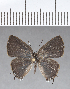  ( - CFC18150)  @11 [ ] Copyright (2018) Christer Fahraeus Center For Collection-Based Research