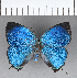  ( - CFC18192)  @11 [ ] Copyright (2018) Christer Fahraeus Center For Collection-Based Research