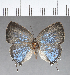  ( - CFC18203)  @11 [ ] Copyright (2018) Christer Fahraeus Center For Collection-Based Research